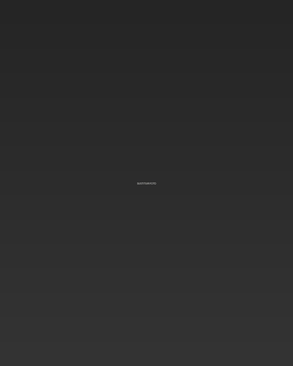 Portfolio de David Puig 1