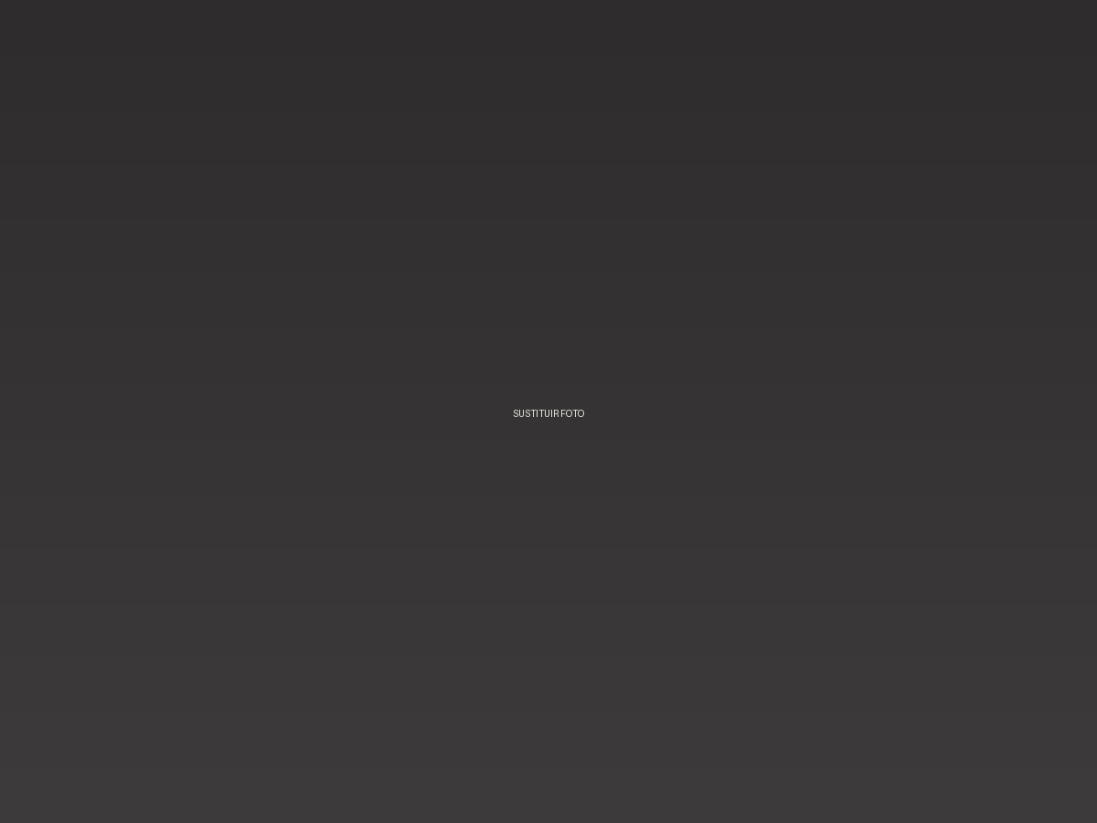 Portfolio de David Puig 2