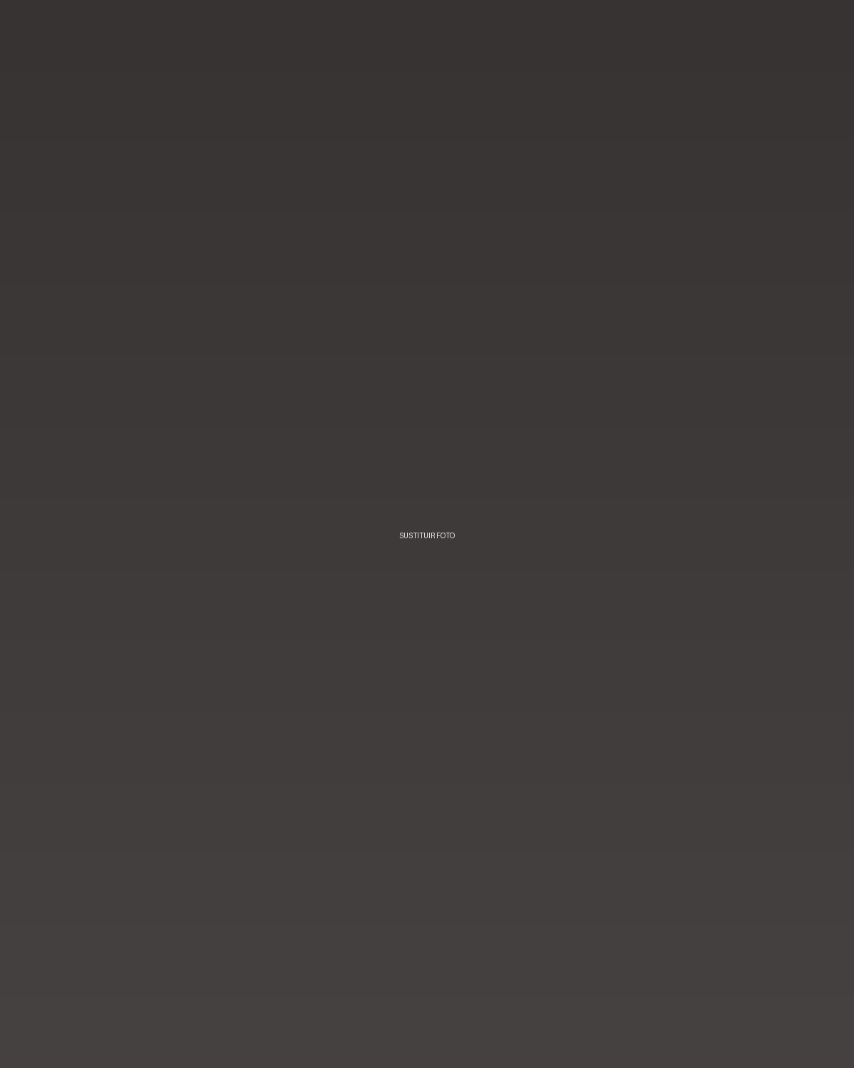 Portfolio de David Puig 3
