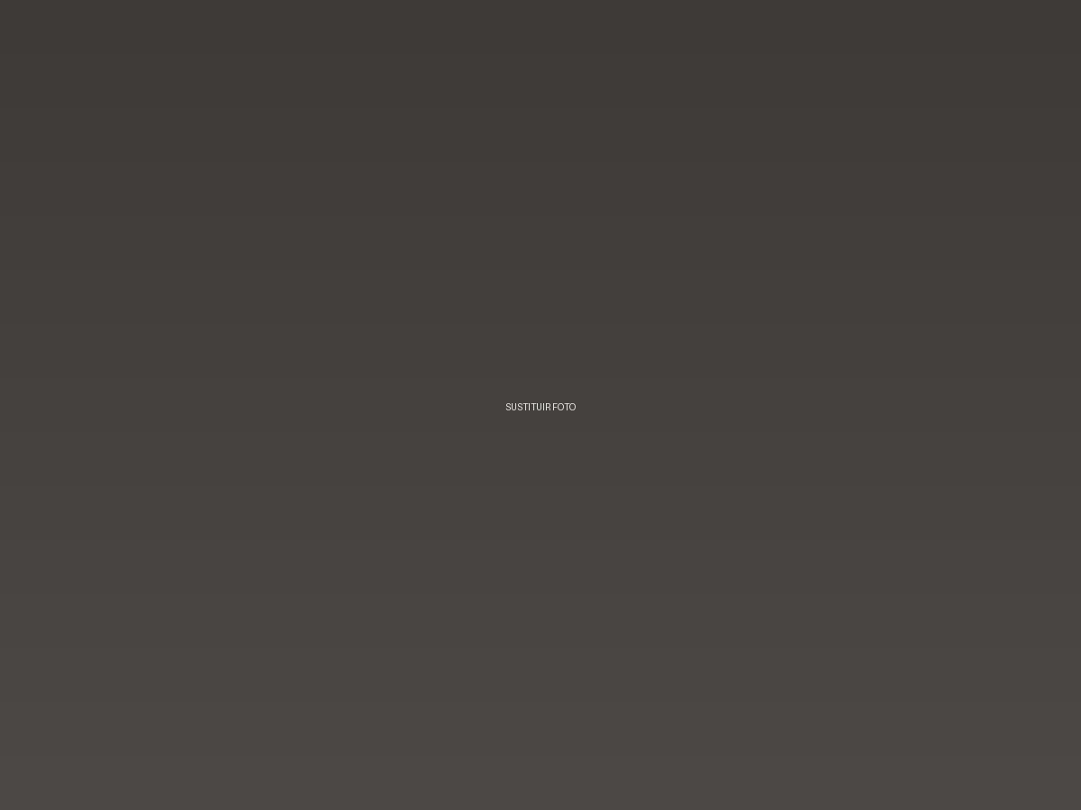 Portfolio de David Puig 4