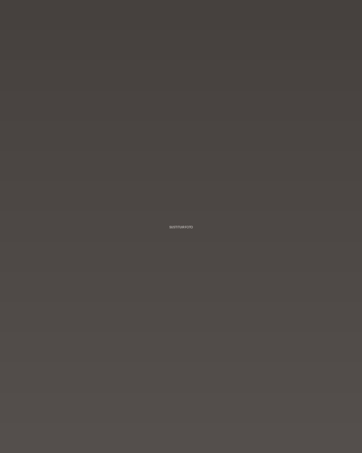 Portfolio de David Puig 5