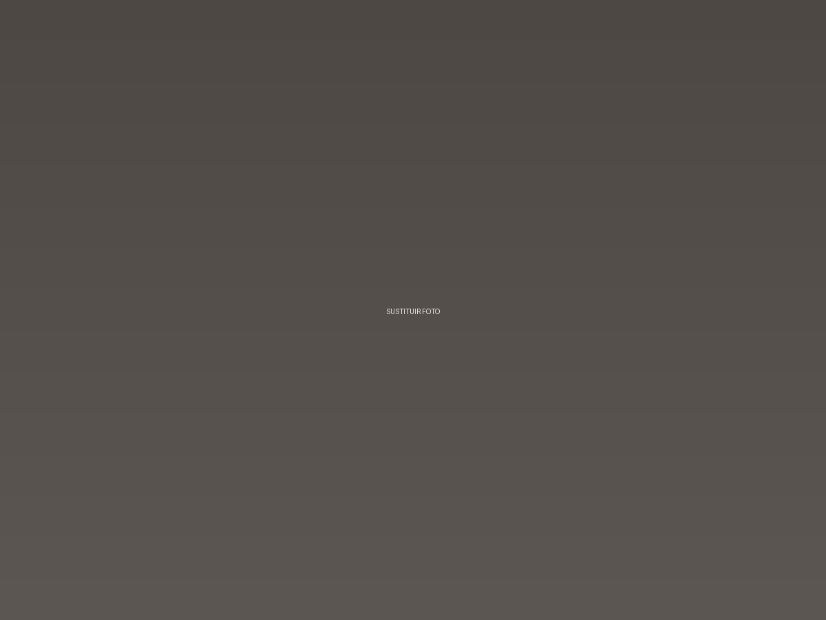 Portfolio de David Puig 6